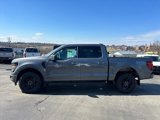 New 2025 Ford F150 XLT w/ Equipment Group 301A Standard image 2