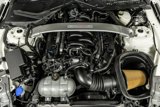 Used 2020 Ford Mustang Shelby GT350R w/ GT350R Equipment Group 920A image 3