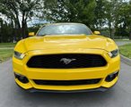 Used 2017 Ford Mustang Premium image 2