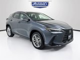 Used 2024 Lexus NX 350 AWD w/ Premium Package image 1