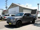 Used 2013 Ford F150 Platinum image 3