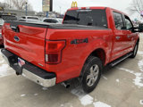 Used 2019 Ford F150 XLT w/ Equipment Group 302A Luxury image 6