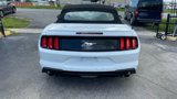 Used 2019 Ford Mustang Premium image 5