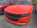 Used 2019 Dodge Charger SXT w/ Blacktop Package image 3