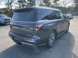 New 2025 INFINITI QX80 Luxe image 3