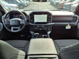 New 2025 Ford F150 XLT w/ Equipment Group 302A MID image 5