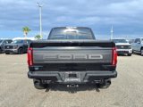 New 2025 Ford F150 Raptor image 6