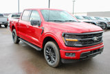 New 2025 Ford F150 XLT w/ Equipment Group 303A High image 4