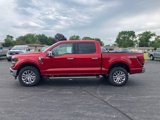 New 2024 Ford F150 XLT w/ Equipment Group 303A High image 2