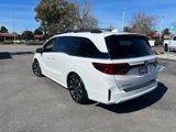 Used 2025 Honda Odyssey Elite image 5