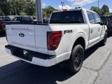 New 2025 Ford F150 Platinum image 6
