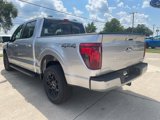 New 2025 Ford F150 XLT image 2
