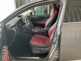 Used 2020 Lexus NX 300h AWD w/ Comfort Package image 3