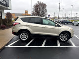 Used 2017 Ford Escape SE w/ Equipment Group 201A image 6