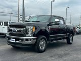Certified 2017 Ford F250 XLT w/ XLT Premium Package image 4