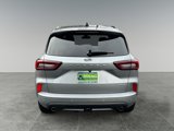 Used 2024 Ford Escape ST-Line Elite w/ Premium Technology Package image 6