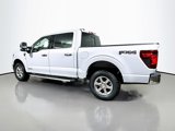 New 2025 Ford F150 XLT image 4