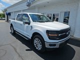 New 2025 Ford F150 XLT w/ Equipment Group 303A High image 2