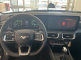 New 2025 Ford Mustang GT Premium image 3