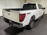 Used 2024 Ford F150 XLT image 5