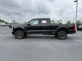 New 2025 Ford F250 Platinum image 4
