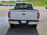 Used 2021 Ford F150 XLT w/ Equipment Group 302A High image 4