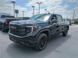 Used 2025 GMC Sierra 1500 Pro w/ Graphite Edition image 2