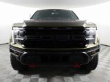 Used 2025 Ford F150 Raptor w/ Equipment Group 803A Raptor R image 2