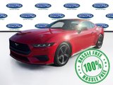 Used 2024 Ford Mustang Premium image 3