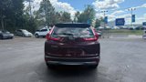 Used 2019 Honda CR-V EX-L image 4