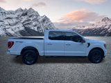 Certified 2023 Ford F150 XLT w/ Equipment Group 302A High image 5