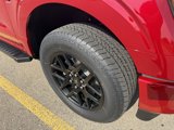 New 2025 Ford F150 STX image 3