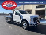 New 2025 Ford F350 XL w/ XL Chrome Package image 3