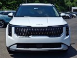 New 2026 Kia Carnival EX image 2
