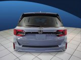 New 2026 Honda Odyssey Elite image 4