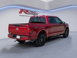 New 2025 Ford F150 STX w/ STX Black Appearance Package image 4