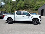 New 2025 Ford F150 STX w/ Equipment Group 200A image 6