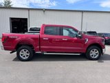 New 2025 Ford F150 XLT w/ Equipment Group 302A MID image 4