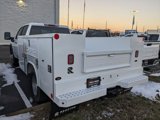New 2025 GMC Sierra 3500 Pro w/ Convenience Package image 6