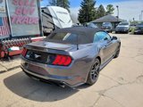 Used 2018 Ford Mustang Premium w/ Equipment Group 201A image 5