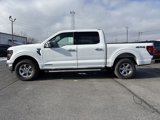 New 2025 Ford F150 XLT w/ Equipment Group 302A MID image 4