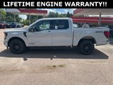 New 2025 Ford F150 XLT w/ Equipment Group 302A MID image 5