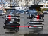 New 2025 Hyundai Palisade Calligraphy image 5