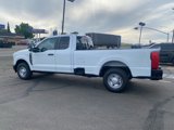 New 2025 Ford F250 XL image 4