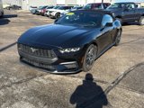 Used 2024 Ford Mustang Premium image 2
