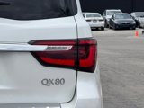 Certified 2024 INFINITI QX80 Sensory w/ Cargo Package image 5