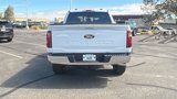 New 2025 Ford F150 XLT image 4
