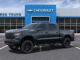 New 2025 Chevrolet Silverado 1500 Custom Trail Boss w/ Turbomax Blackout Package image 3