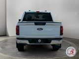 Used 2024 Ford F150 XLT w/ Mobile Office Package image 6