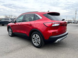Used 2022 Ford Escape SEL w/ Technology Package image 4